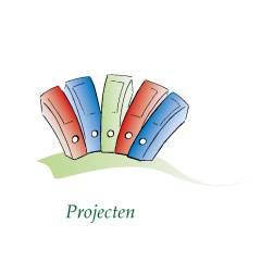 Projecten